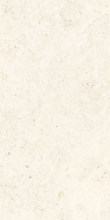 Lightstones.03 Shell Grip 24 x 48